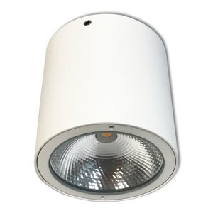 Đèn Led downlight trụ trang trí ngoài trời Panasonic NSDL2236-73