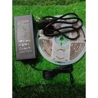 Đèn LED đuổi 5m RGB nhiều màu 12v dùng trang trí tủ trưng bầy