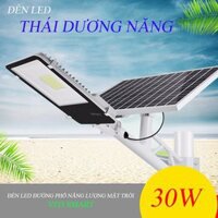 Đèn Led đường phố năng lượng mặt trời 30W - VITI SMART