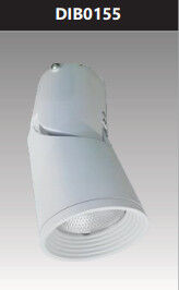 Đèn led gắn nổi chiếu điểm trang trí 15w DIB0155