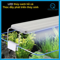 Đèn led HK - 3 chế độ đổi màu