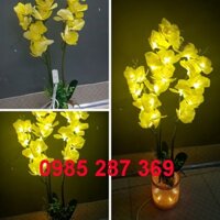 Đèn LED Hoa Lan 3 cành màu Vàng/Hồng. Cao 80cm