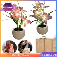 Đèn LED hoa lan Đèn ngủ hoa nhân tạo trang trí cho phòng ngủ Phòng khách