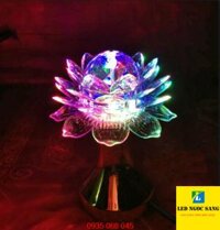 Đèn led hoa sen xoay chân cao
