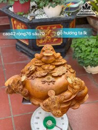 Đèn led hoa sen xoay chân cao ( 1 cái )