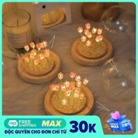 Đèn LED hoa tulip đèn ngủ