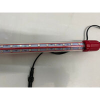 Đèn Led KAOKUI GEBO cho Huyết Long 175cm 145cm 110cm 90cm 70cm - 2 dãy bóng 13000kevin chuyên tanning huyết long
