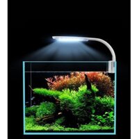 Đèn LED Kẹp COCO M-280 Siêu Sáng - Siêu Mỏng | Đèn LED Kẹp M280 Cho Bể Cá Thuỷ Sinh Nhỏ (30-40cm)