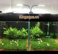 Đèn led kẹp đôi X7 10w