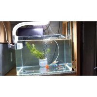 Đèn LED kẹp thành hồ cá thủy sinh để bàn