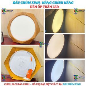 Đèn led LGG-12W