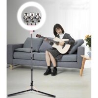 Đèn Led Livetream chuyên nghiệp HQ-RL 21 (54cm, 3 kẹp điện thoại, chân cao 2,1m, 3 chế độ sáng)