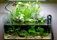 Đèn LED MÁNG NHÔM  hồ cá thuỷ sinh  1M - 1M4