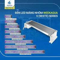 ĐÈN LED MÁNG NHÔM WEEK AQUA - V (White) Series: 200-300-400-450-600-800-900-1200