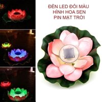 Đèn led năng lượng mặt trời hình hoa sen nổi trên mặt nước SNS021