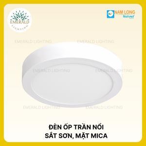 Đèn led NH-599 12W