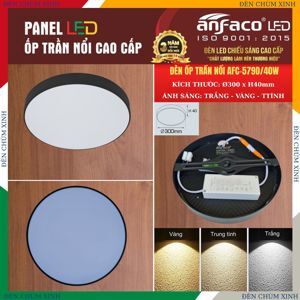 Đèn led nổi 1 chế độ  AFC 579D 40W