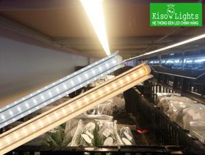 Đèn LED nuôi cấy mô D NCM02L 120/10W