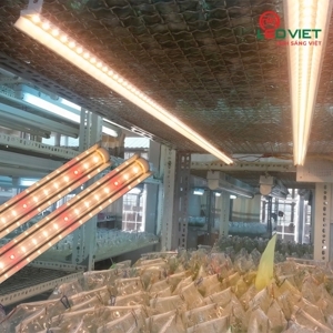 Đèn LED nuôi cấy mô (LED NCM 120/16W WR)