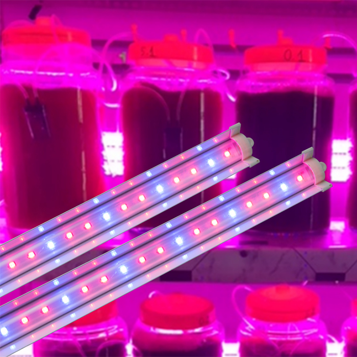 Đèn LED nuôi tảo (T25W 120/BR)