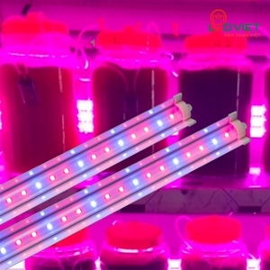 Đèn LED nuôi tảo (T25W 120/BR)
