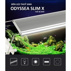 Đèn led Odyssea Slim X 300