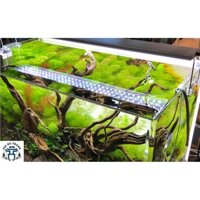 Đèn Led ODYSSEA SLIM X Ánh Sáng 10000K (60-80cm) - Đèn Led Cho Bể Cá Cảnh, Bể Thủy Sinh