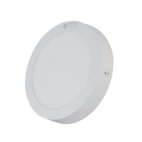 Đèn LED ốp trần Rạng Đông D LN09L 300/24W (tròn), KT: 300*39 AS Trắng/Vàng