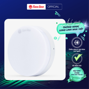 Đèn LED ốp trần tròn LN12 170/12W
