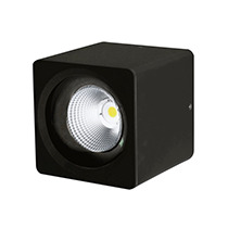 Đèn led ốp trần VinaLED CL-CW20 - 20W