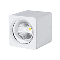 Đèn led ốp trần VinaLED CL-CW30 - 30W