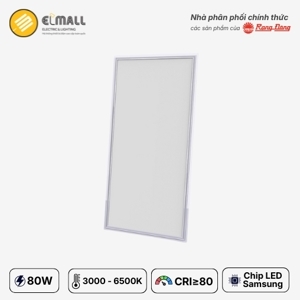 Đèn LED Panel D P08 60x120/80w