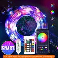 Đèn LED quấn cây đào mai quất cho ngày Tết dùng điện USB 5V an toàn chống giật