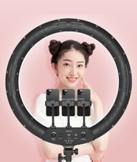 Đèn LED RING RL-18 AMBITFUL LIVESTREAM