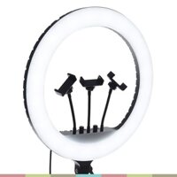 Đèn LED Ring RL21 / RL18 - Dành Cho Chụp Ảnh , Quay Phim, Phát Trực Tiếp, Nhiệt Độ Màu 2700K-6500K, Công Suất Tối Đa 36W