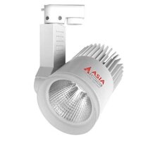 ĐÈN LED RỌI RT30W - 03- 1 MÀU