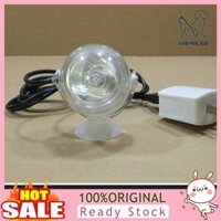 Đèn LED Sạc USB Trang Trí Bể Cá