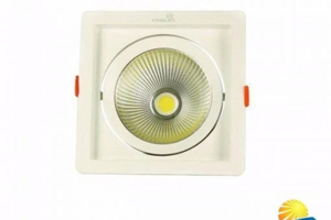 Đèn led spotlight Kingled DLR-10-V115