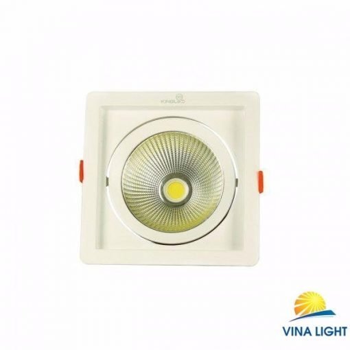 Đèn led spotlight Kingled DLR-20-V145