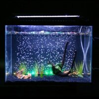 Đèn LED sủi bọt khí cho bể cá 100cm