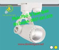 Đèn Led Thanh Ray 3W SL6013T