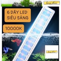 Đèn Led Thuỷ Sinh Ánh Sáng 10000K 6 Hàng Bóng Siêu Sáng - Led Máng KaoKui//Jeneca