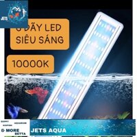 Đèn Led Thuỷ Sinh Ánh Sáng 10000K 6 Hàng Bóng Siêu Sáng - Led Máng Kaokui Jeneca Bể Cá