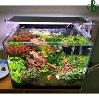 Đèn Led Thủy Sinh Week WRGB V Series - Đèn Led Week Raptor V Series Cho Bể Cá