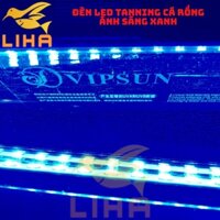Đèn Led Thủy Tinh Vipsun ChiliRed Tanning Cá Rồng - Đèn Led Ánh Sáng Xanh Cho Bể Cá