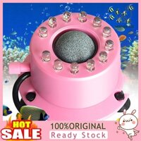 Đèn LED Trang Trí Bể Cá