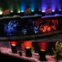 Đèn led trang trí dưới nước hồ cá bể bơi đài nước dùng pin NLMT gồm 5 đèn rọi (SV85)