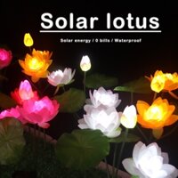 Đèn LED Trang Trí Lối Đi Sân Vườn Hình Hoa Sen Chống Nước Chạy Năng Lượng Mặt Trời Mới