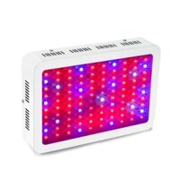 Đèn Led trồng cây đủ phổ GL-1000W, Đèn led hỗ trợ trồng cây trong nhà, Led grow light