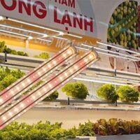 Đèn LED trồng rau 25w Rạng Đông, phổ ánh sáng WR